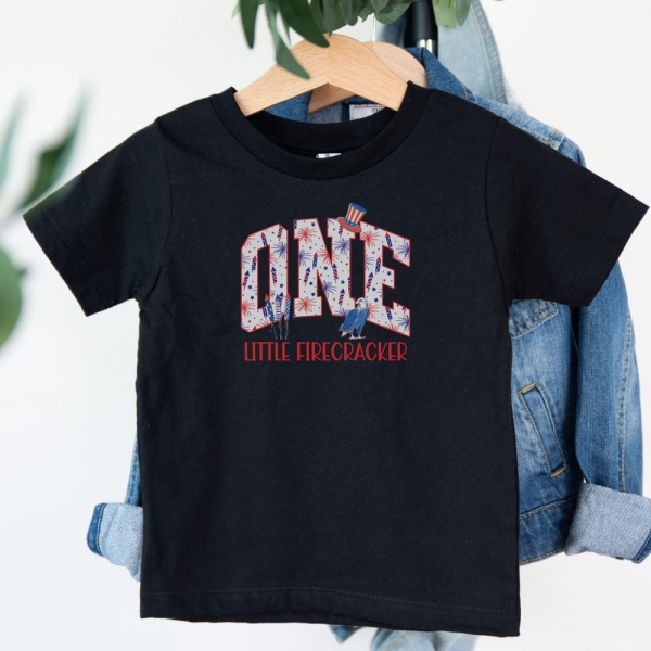 4th of July Birthday Matching Family Shirt Fourth of July Birthday Outfit Matching Mommy and Me Tee One Little Firecracker Independence Day